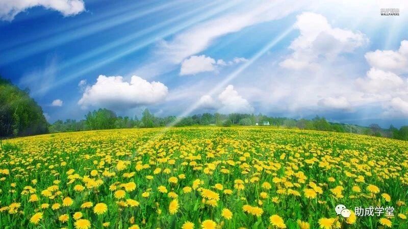 好店长带“活”一个店！