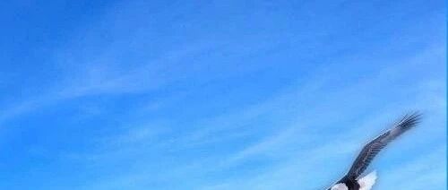 成功的人生，都是熬出来的！