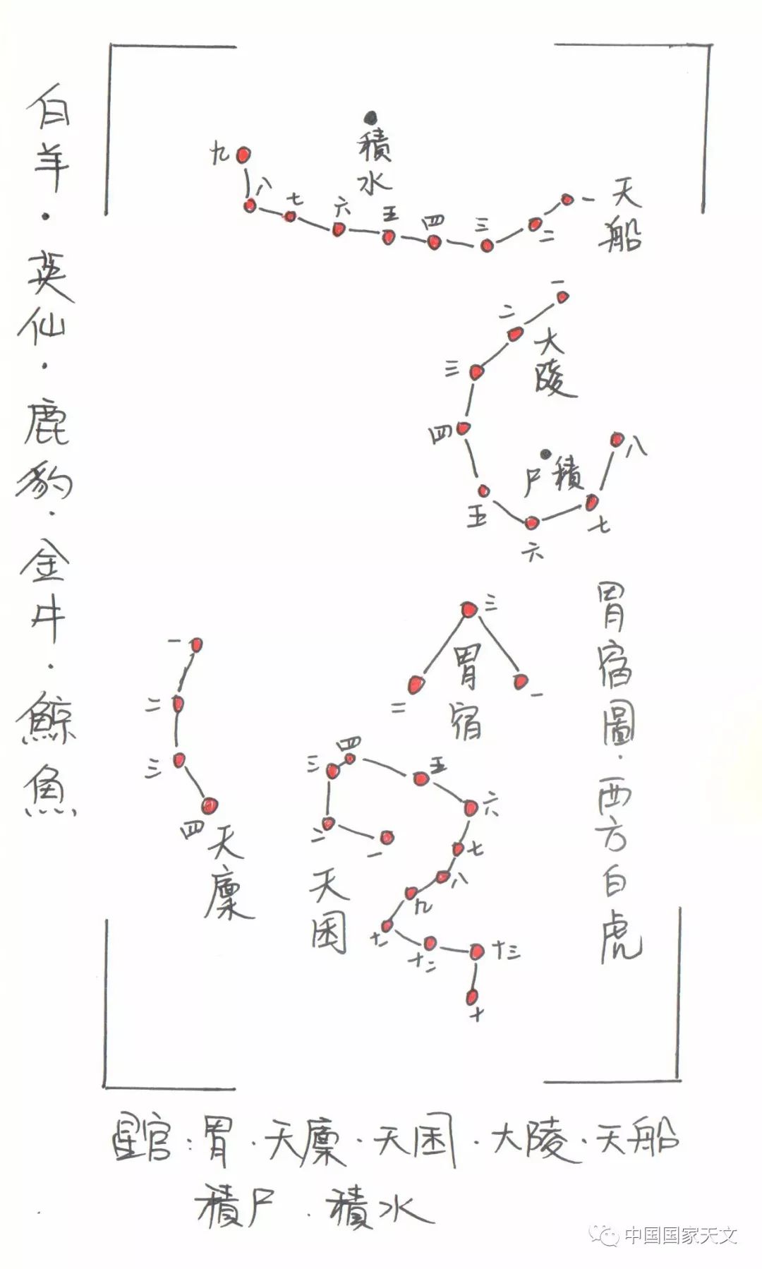 手繪二十八星宿 西方白虎 中國國家天文 微文庫