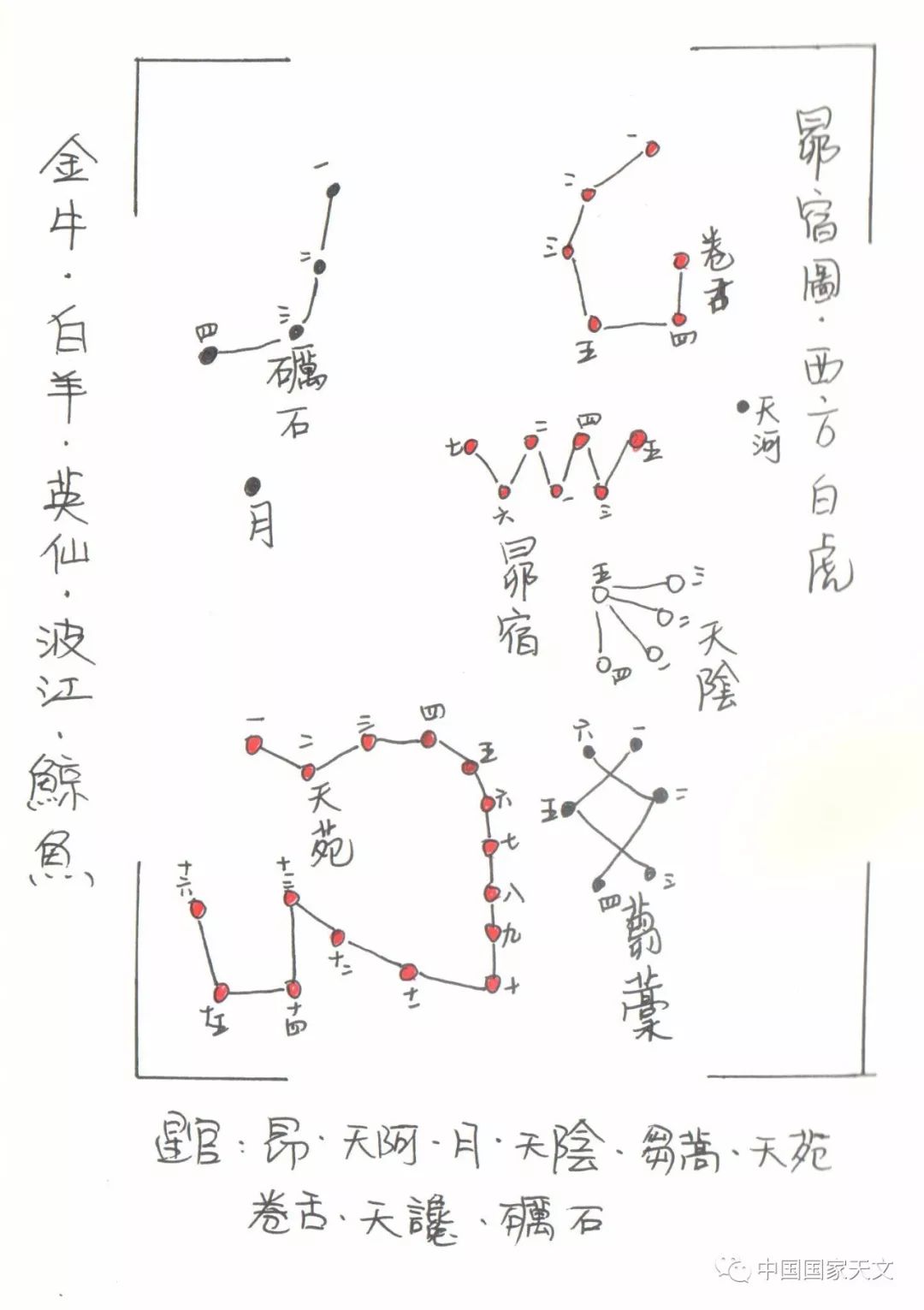 手繪二十八星宿 西方白虎 中國國家天文 微文庫