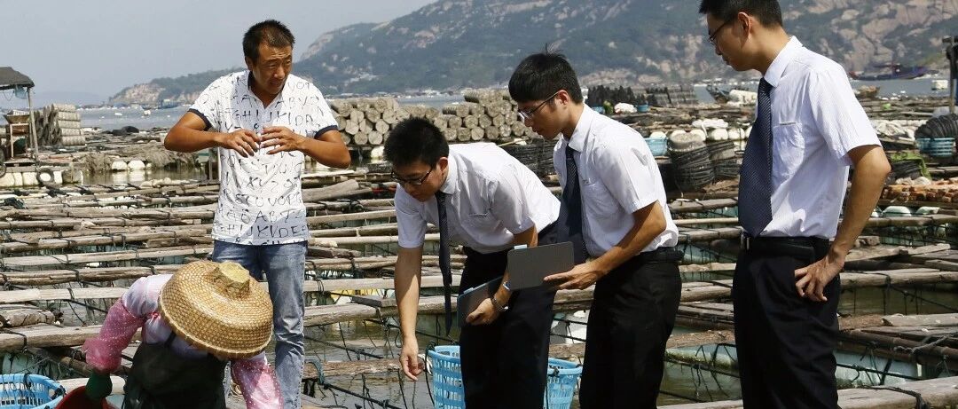 为乡村振兴插上“金融的翅膀”！看这家银行助力农村要素市场化配置改革，太有哏了！