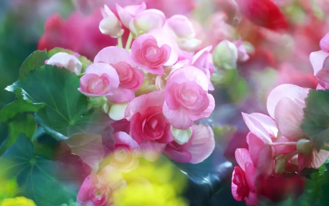 起床号 6月7日 早安 歌曲 走在小康路上 Hi有料