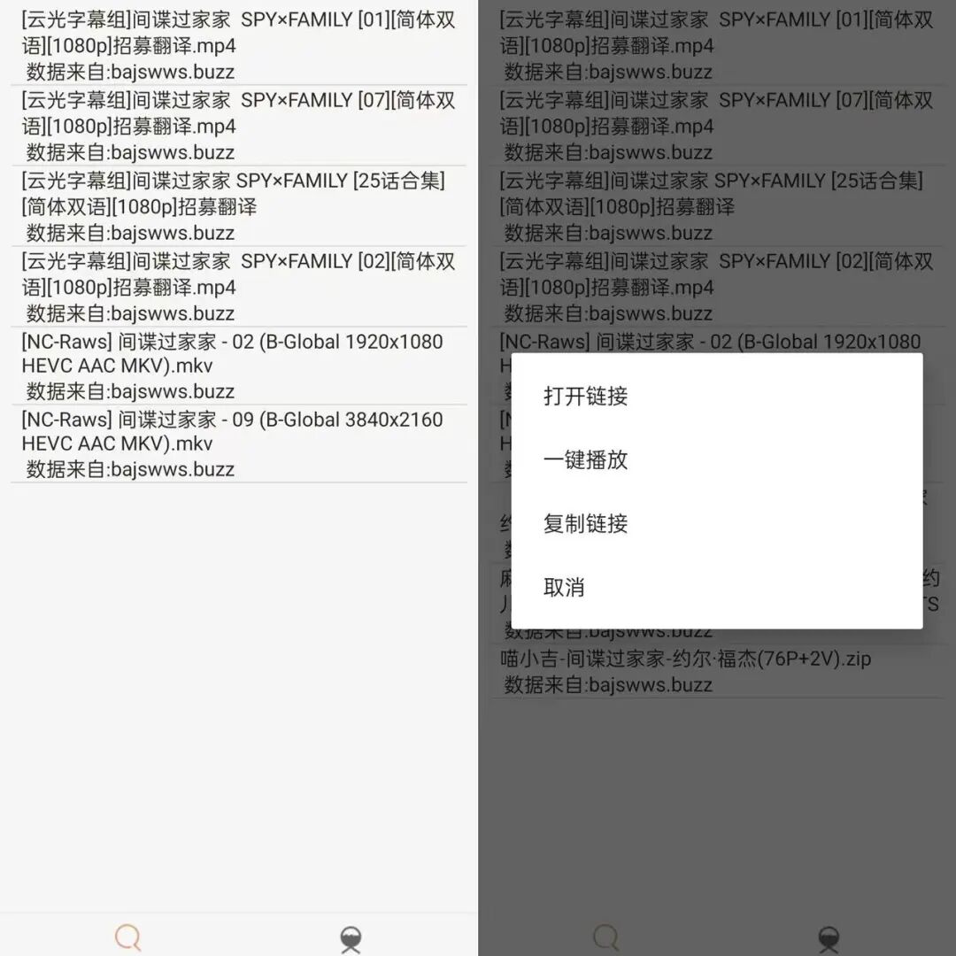 比特舟Pro，全网资源秒搜索，成年人都爱用