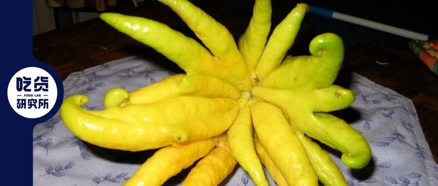 长成手指开花一样的果子能吃吗？好吃吗？怎么吃？