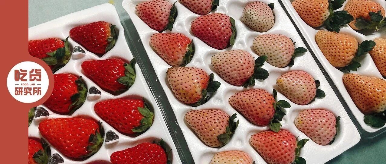 草莓实用挑选指南 | 把每一分草莓钱都花在刀刃上！