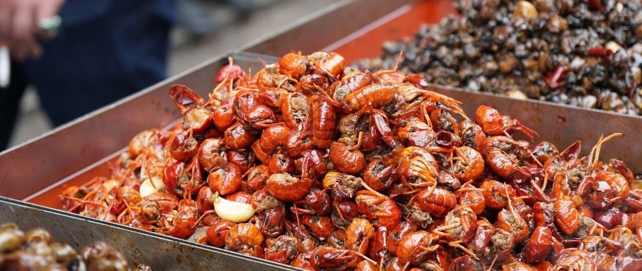 深夜的成都，竟然也这么好吃！