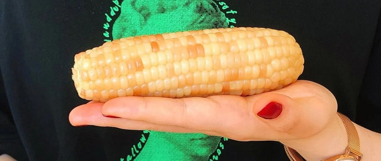 甜玉米党吃了都咬咬牙恨恨竖起大拇哥的糯玉米！
