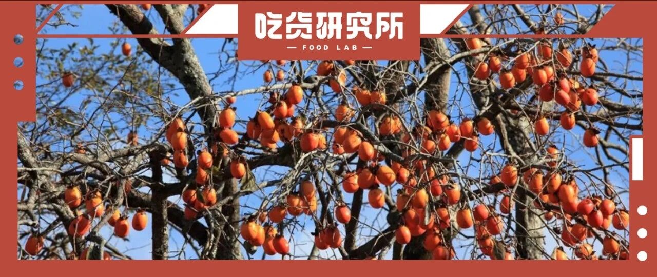 柿子就像我磕的CP，要么好甜，要么好涩