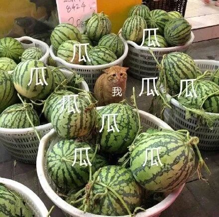 吃了一天瓜来吃个鸡换换口味呀