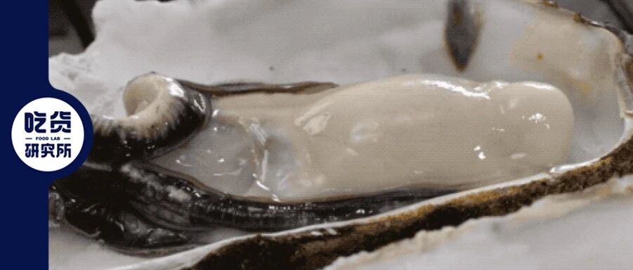 蚝油真不是油啊，是熬生蚝的水浓缩而成的精华……