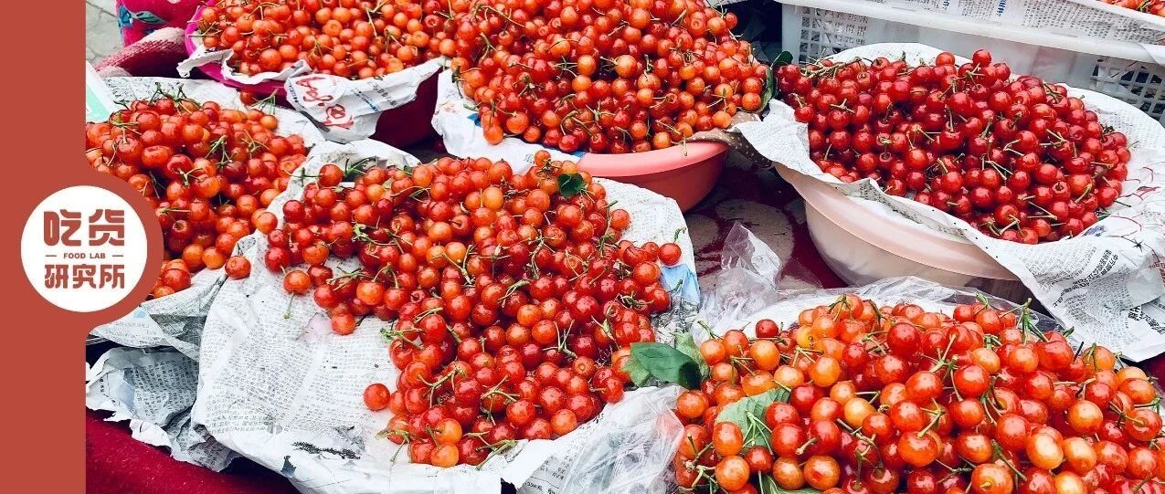 相比车厘子，我更喜欢吃恩桃儿!