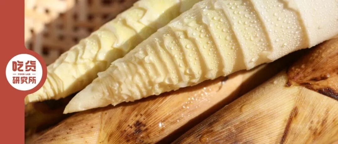 惊蛰后的雷笋，凭什么让长江以南为之疯狂？（以北也一样！