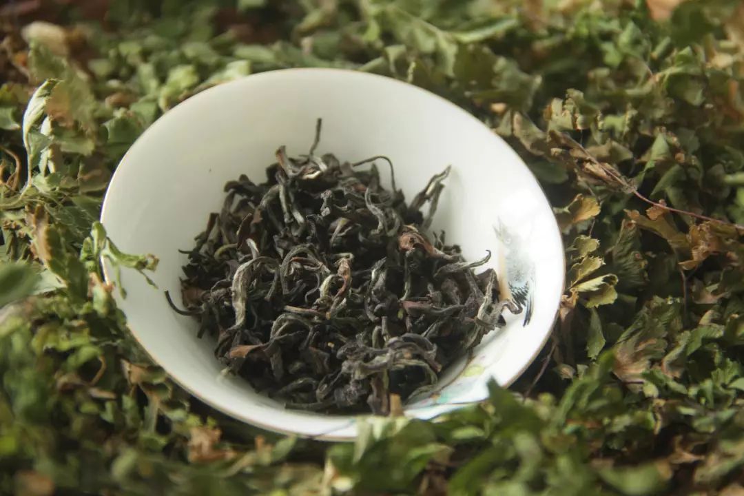 綠茶白茶黃茶青茶紅茶黑茶依據什麼分?