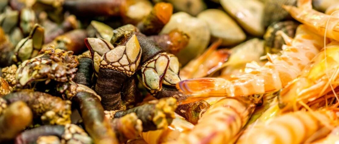 那些比海鲜更海鲜的食物，是什么味道的？