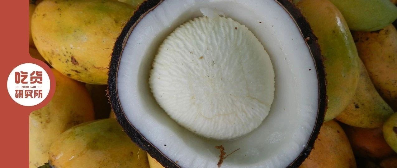 传说中的“椰子冰淇淋”椰宝，是真实存在的吗?