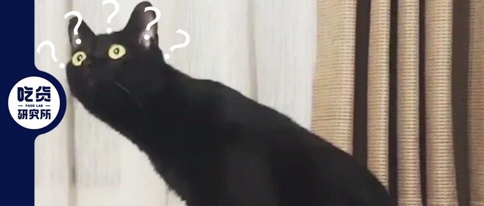 哈？在哈尔滨找不到哈尔滨烤冷面？