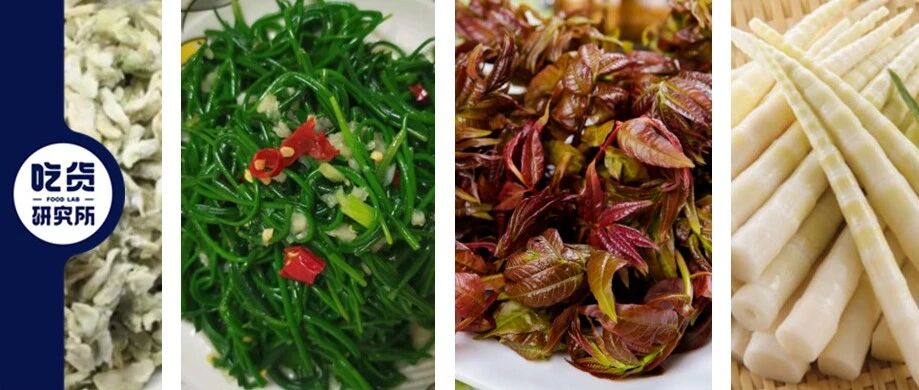 春天有野菜吃，我都可以不吃肉！