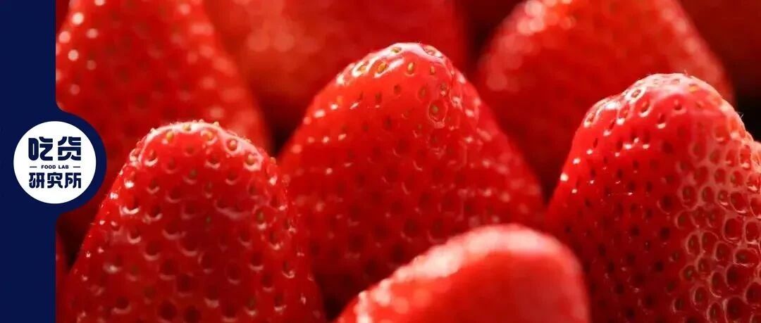 就我好奇么？草莓到底是冬季水果，还是夏季水果？