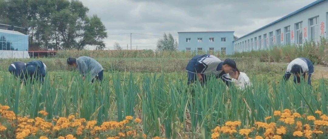 不能只为了成绩前30%的学生，而放弃另外70%的学生