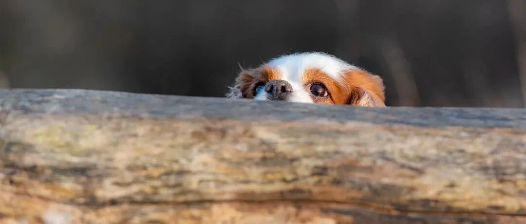 90后表示：这一刻，我慌了……