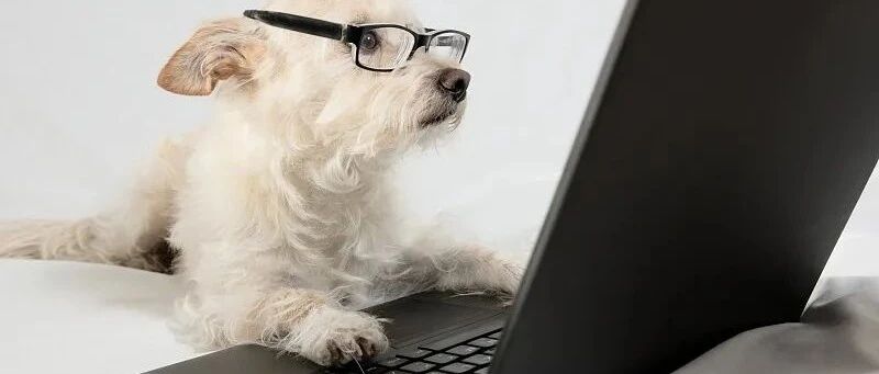 年底了，谁还没个年终总结要写？