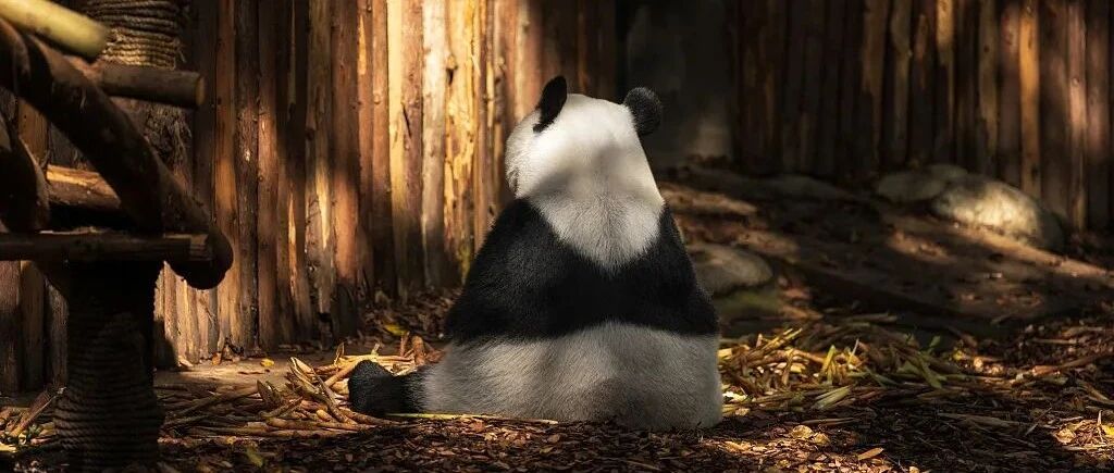 “只要不看体检报告，我就是健康的”