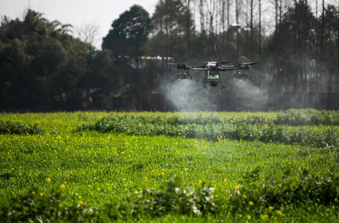 聚焦无人机配送：智慧物流布局关键一子？的图2