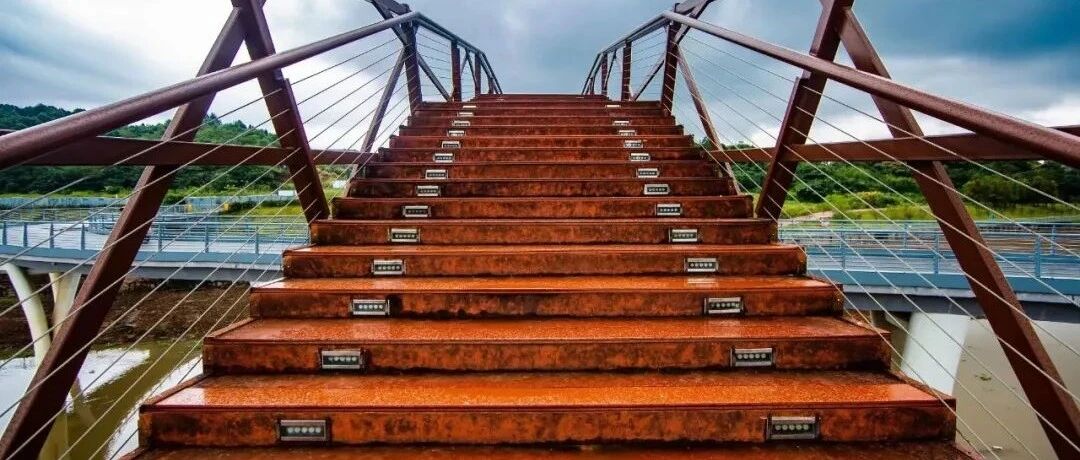 ​职业教育，准备站上风口？