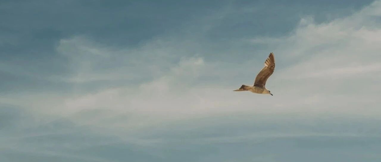 这些年轻人正拓宽“就业版图”