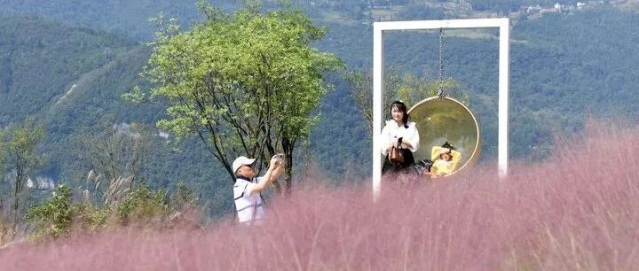 这些农家乐怎么变成了“农家愁”？