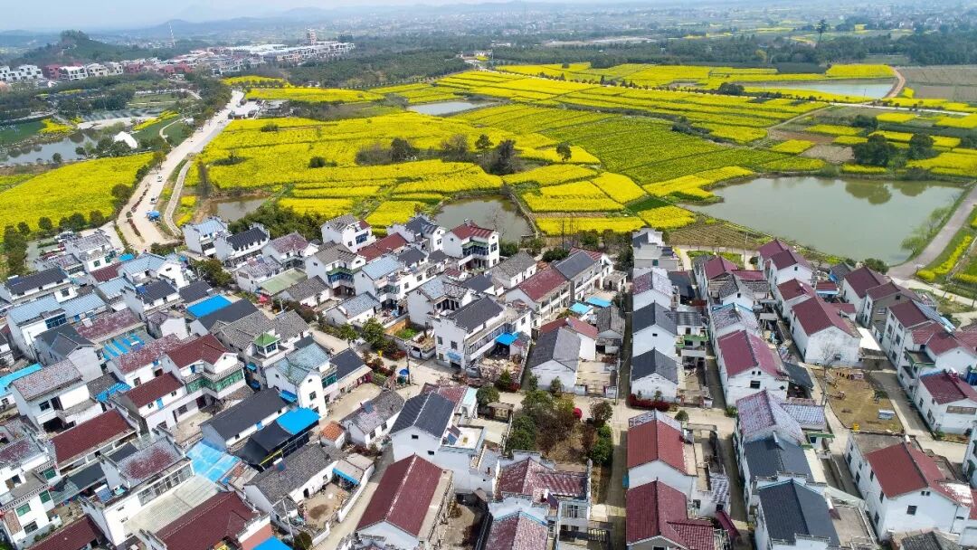 群化构成定义_群化构成图_群化构成的方法有哪些