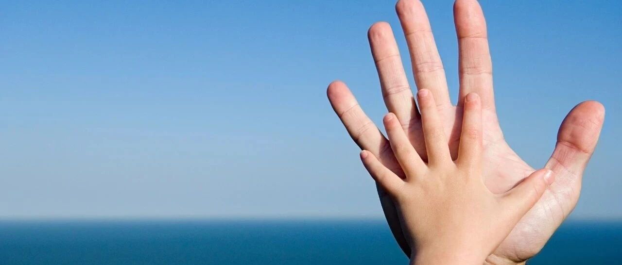 品读 | 我想陪你坚持做一件事