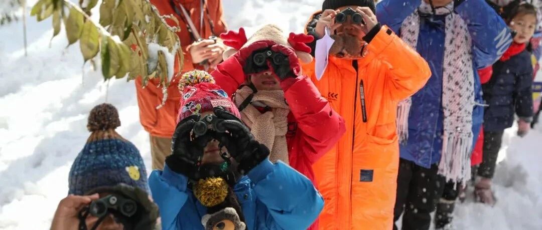 自然教育：感觉跟自己带孩子出去玩差不多?