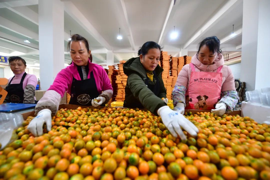 翻遍贫困中国的历史,方能读懂这场胜利的伟大-微信头条网 翻遍贫困中国的历史,方能读懂这场胜利的伟大