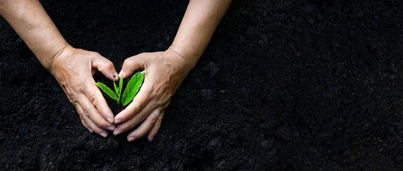 品读 | ​在外乡的人，为什么喜欢带走故乡的一捧土？