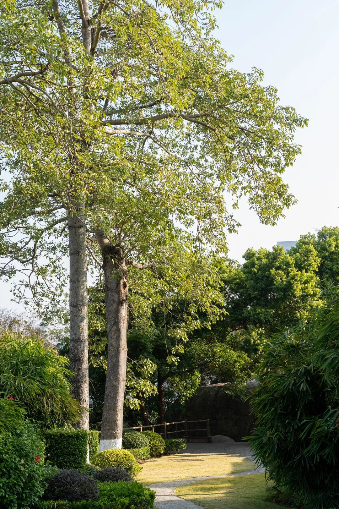鼓浪屿钢琴博物馆镇馆之宝_参观鼓浪屿钢琴博物馆游记_鼓浪屿钢琴博物馆