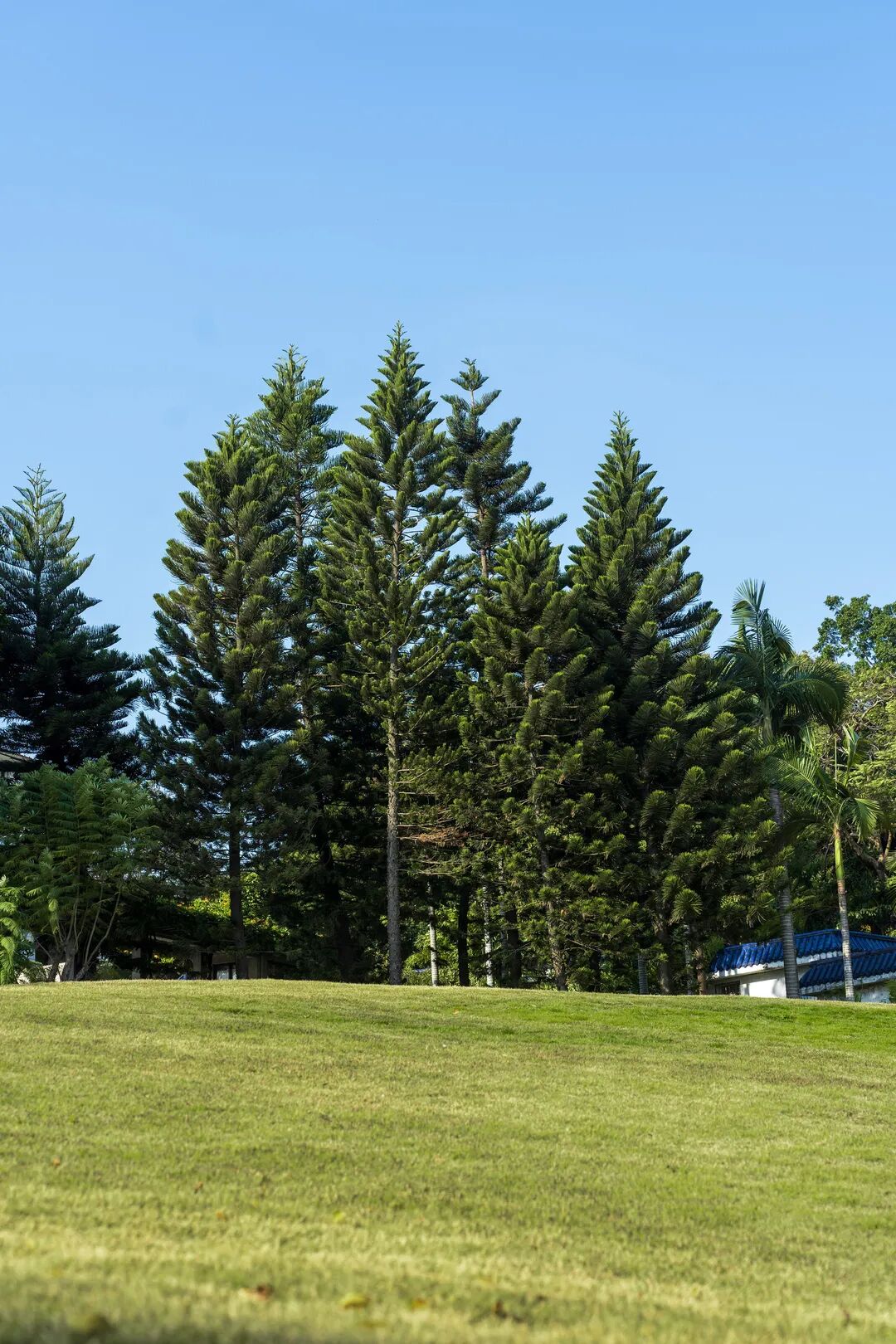 鼓浪屿钢琴博物馆_参观鼓浪屿钢琴博物馆游记_鼓浪屿钢琴博物馆镇馆之宝