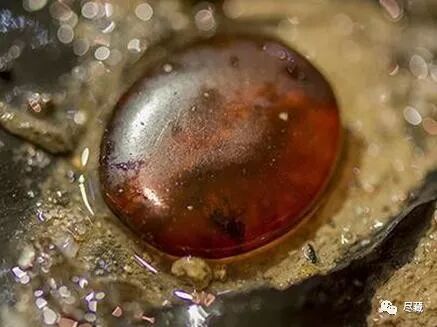 椁怎么读音 海昏侯大墓能代表汉玉巅峰吗？