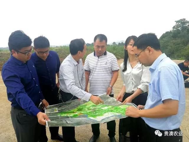 乐虎国际APP