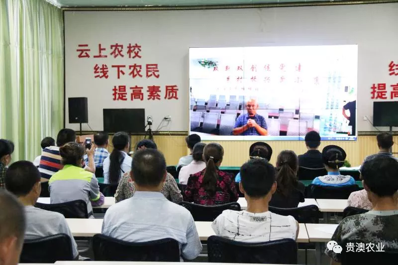 乐虎国际APP