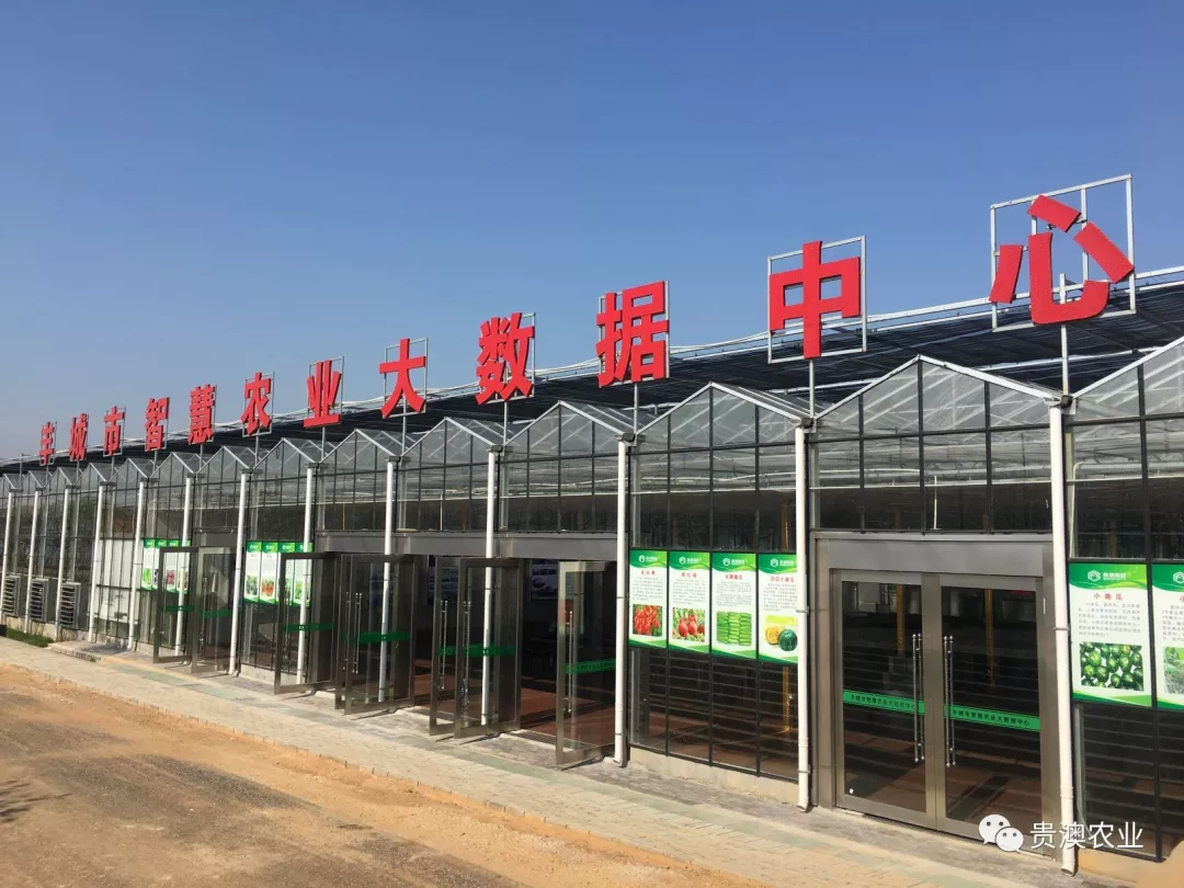 乐虎国际APP