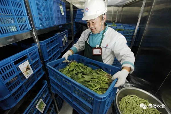 乐虎国际APP