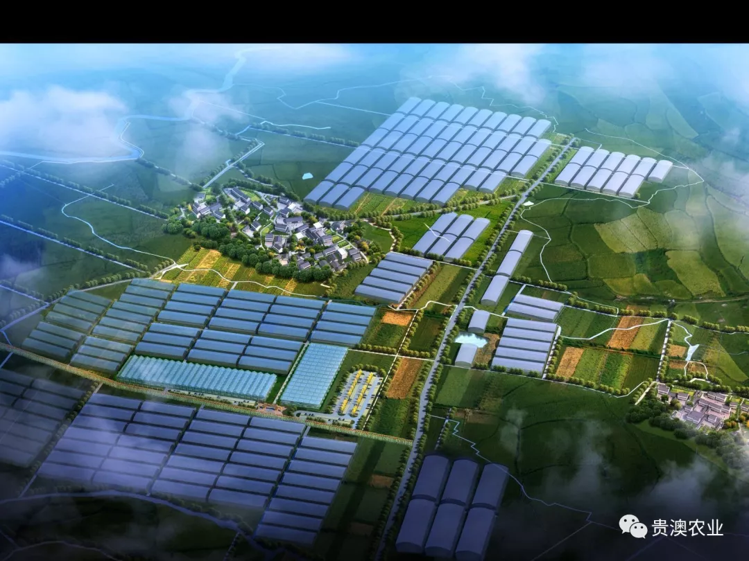 乐虎国际APP