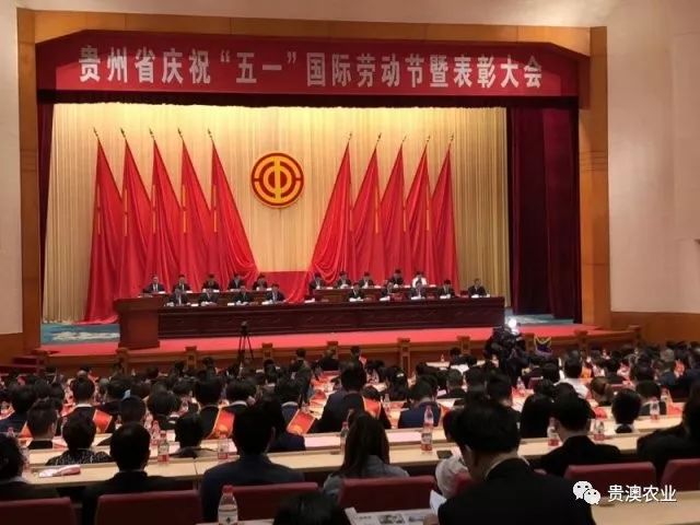 贵澳