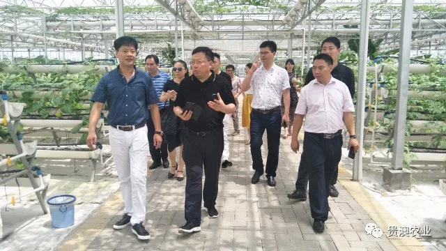 贵澳