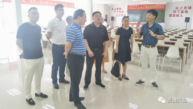 贵澳