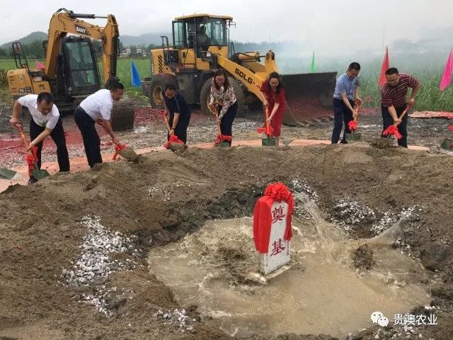 乐虎国际APP