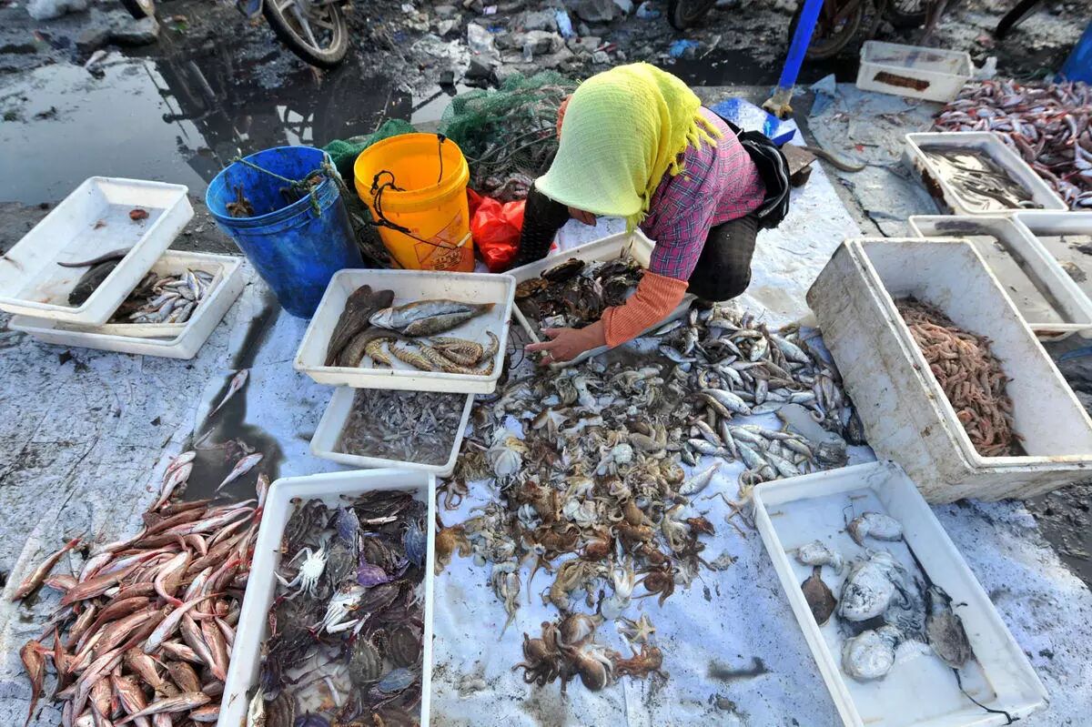 【春令营】挑选海鲜,做海鲜面……跟着老船长去滩涂赶海