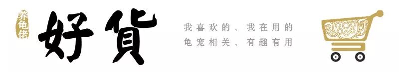 火焰龟能长多大_火焰龟多大可以发色_火焰龟多大才会下蛋