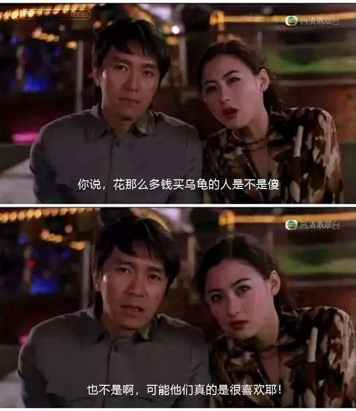 火焰龟能长多大_火焰龟多大可以发色_火焰龟多大才会下蛋